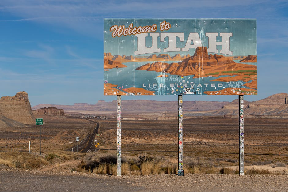 Обучение инвестированию